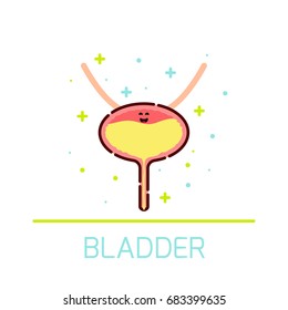 Cute healthy bladder icon made in cartoon style. Human body organs anatomy sign on white background. Medical internal organ symbol. Vector illustration.