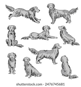 Cute and healthy dog illustration material collection,