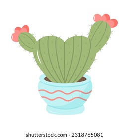 Cute heart shaped cactus in a pot. Domestic plant in pastel colors isolated on white background.