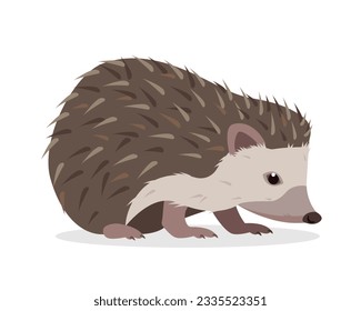 Cute Hedgehog animal. Prickly hedgehog icon. Wild mammal forest animal character. Vector illustration isolated on white background.