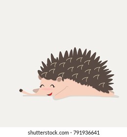 cute Hedgehog animal sleep