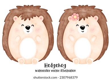 Cute hedgehog, animal, watercolor animal, watercolor vector illustration