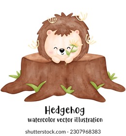 Cute hedgehog, animal, watercolor animal, watercolor vector illustration