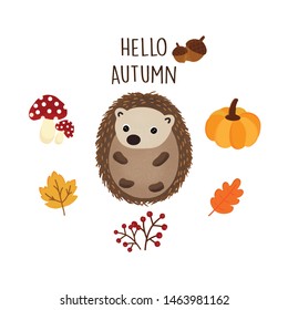 Cute hedgehog in the autumn.