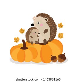 Cute hedgehog in the autumn.