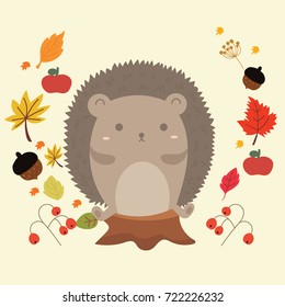 cute hedgehog  in autumn