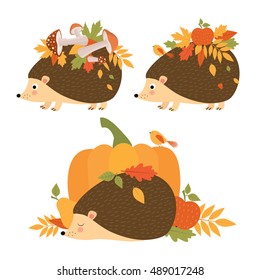 Cute hedgehog. Autumn. Fall. Vector illustration.