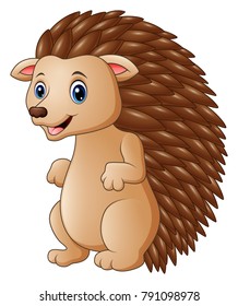 Cute hedgehog cartoon