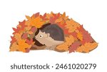 Cute hedgehog cartoon character living in burrow made from autumn leaves isolated on white