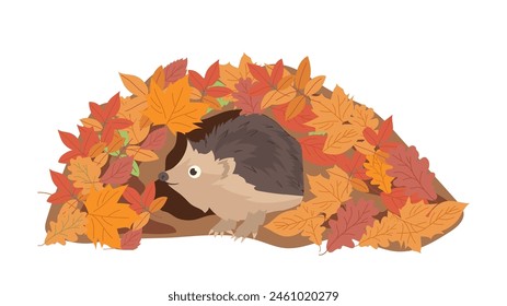 Cute hedgehog cartoon character living in burrow made from autumn leaves isolated on white