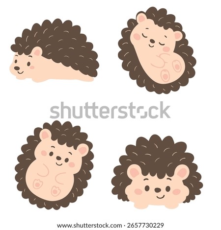 Cute Hedgehog Cartoon Illustration Set animal