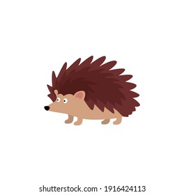 Cute Hedgehog Cartoon Vector On A White Background