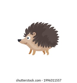 Cute hedgehog cartoon vector on a white background