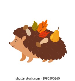 cute hedgehog character carries leaves, mushrooms and pear on thorns. flat vector illustration isolated on white background
