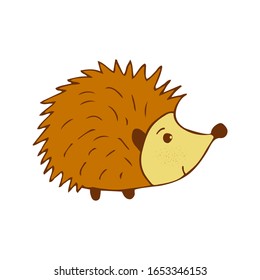 Cute hedgehog colorful doodle illustration on white background. Forest animal with prickly needles vector
