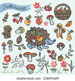 Cute hedgehog and forest floral element. Hedgehog,fruits,mushrooms,branches,cone,wood,flowers. Funny forest set for design template.Vector