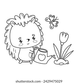 Cute hedgehog gardener with butterfly and garden watering can waters flower. Vector illustration. Animal outline kawaii character. Line drawing, coloring book. Kids collection