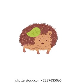 Cute hedgehog with green leaf on his spiny back - flat vector illustration isolated on white background. Funny cartoon character of animal for kids and nursery.