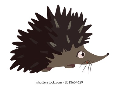 Cute hedgehog. Hand drawn vector illustration. Colored cartoon doodle of autumn forest animal. Single wild animal drawing isolated on white. Element for childish design, print, sticker, card, decor.