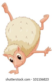 Cute hedgehog handstand on a white background