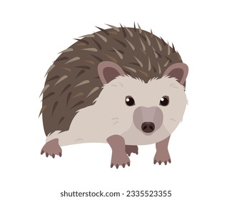 Cute Hedgehog icon. Wild mammal forest animal character. Prickly hedgehog animal. Vector illustration isolated on white background.