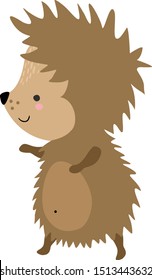 Cute hedgehog, illustration, vector on white background.