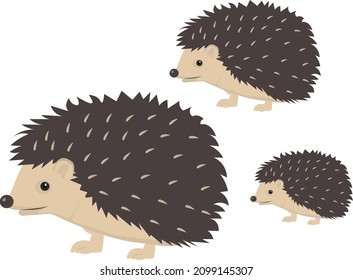 Cute hedgehog, illustration, vector on a white background.