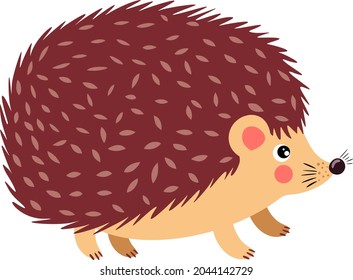 Cute hedgehog isolated on white
