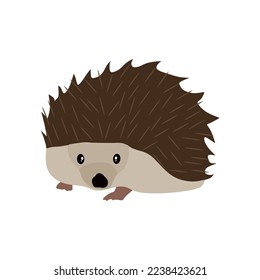 Cute hedgehog isolated on white background. Cute hedgehog in flat style. vector illustration