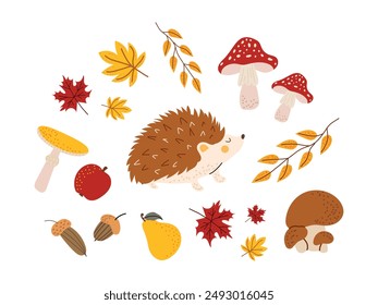 Lindo erizo, hojas de hongos, bellotas. Flora y fauna silvestre dibujada a mano Ilustración vectorial. Tema de otoño. Fondo blanco aislado. 