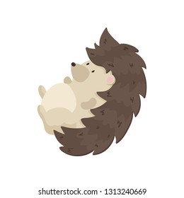 Cute hedgehog lies on his back and swinging. Close-up on a white background.