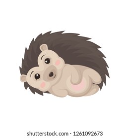 Cute hedgehog lying on its side, lovely prickly animal cartoon character vector Illustration on a white background