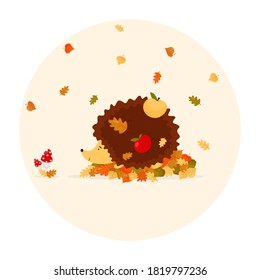 Cute hedgehog on a white isolated background, with apples, mushrooms and colorful leaves. Autumn forest