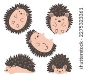 Cute Hedgehog or Porcupine animal set