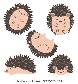 Cute Hedgehog or Porcupine animal set