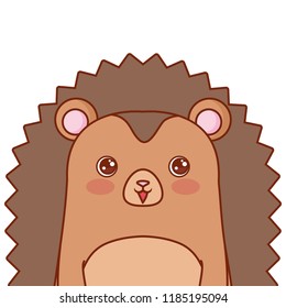 cute hedgehog portrait cartoon wildlife