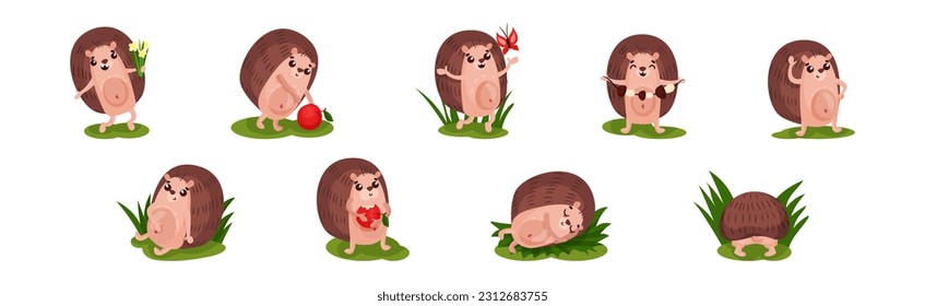 Cute de cobertura con pinzas en diferentes conjuntos de vectores de actividad