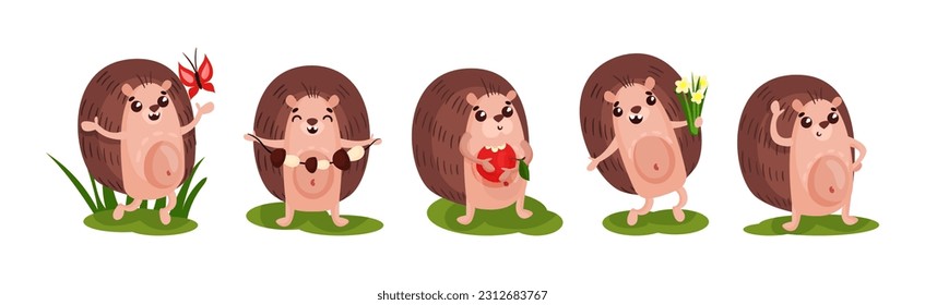 Cute Hedgehog with Prickles Engaged in Different Activity Vector Set