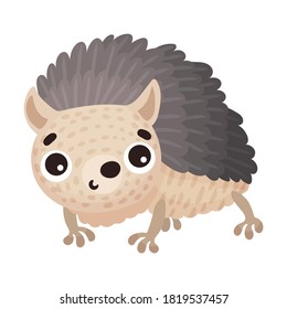 Cute Hedgehog with Prickles as Forest Animal Vector Illustration