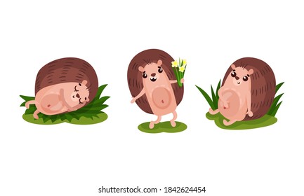 Cute Hedgehog with Prickles Sleeping and Holding Flowers Vector Set