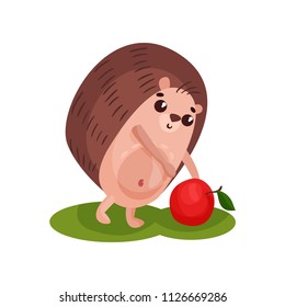 Cute hedgehog and red apple, funny animal cartoon character vector Illustration on a white background