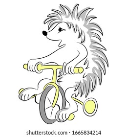 Cute hedgehog rides a bicycle.
Printing on t-shirts, sweatshirts, designer cards. Vector.
