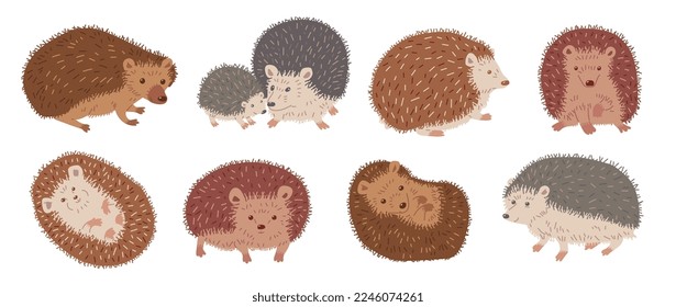 Juego de hedgehog, ilustración de vector plano de dibujos animados aislados en fondo blanco. Dibujo de mamíferos espinosos. Gracioso erizo en varias poses.