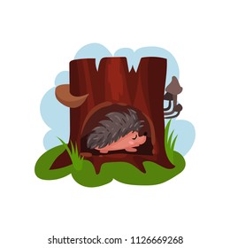 Cute hedgehog sleeping in hollow of tree, hollowed out old tree and funny animal inside vector Illustration i on a white background