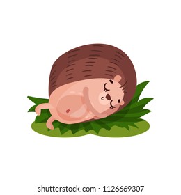Cute hedgehog sleeping on the grass, funny animal cartoon character vector Illustration on a white background