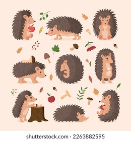 Cute hedgehog. Sleeping, relaxing cute forest animals. Walking, play and standing, happy autumn characters in different poses. Vector utter cartoon flat style isolated illustration