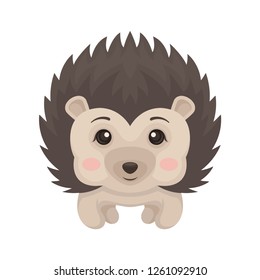 Cute hedgehog with smiling face, lovely prickly animal cartoon character vector Illustration on a white background