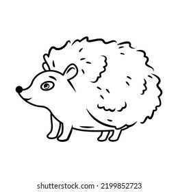 cute hedgehog stands on a white background. Vector illustration with cute forest animals contour image