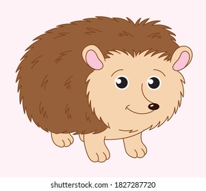 cute hedgehog stands and smiles