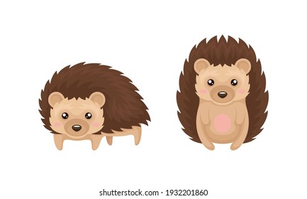 Cute Hedgehog in Various Poses as Prickly Forest Animal Vector Set